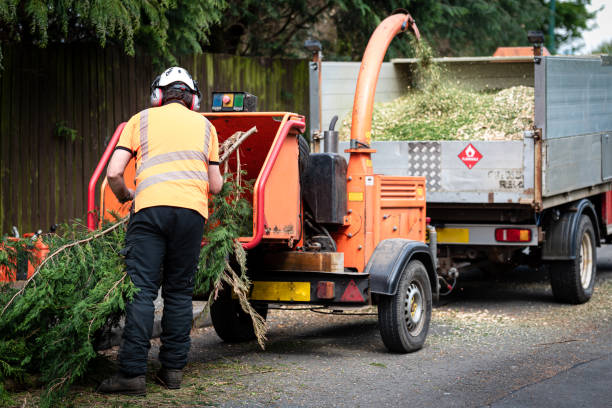 Best Fruit Tree Pruning  in Fort Lee, NJ