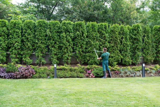 Best Artificial Turf Installation  in Fort Lee, NJ